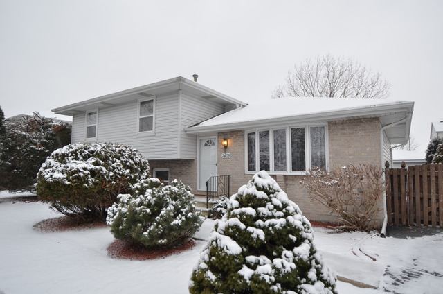 2405 Joe Adler Dr, Plainfield, IL 60586 photo 2