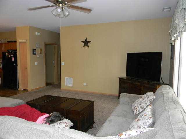 5116 Edgewater Ct, Plainfield, IL 60586 photo 4