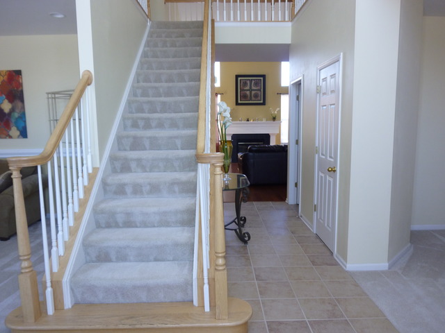 190 Vail Ct, Gilberts, IL 60136 photo 2