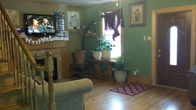 16 S Jackson St, Elgin, IL 60123 photo 3