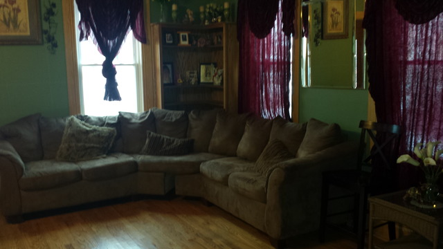 16 S Jackson St, Elgin, IL 60123 photo 4