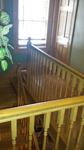 16 S Jackson St, Elgin, IL 60123 photo 8