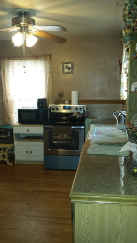 16 S Jackson St, Elgin, IL 60123 photo 6