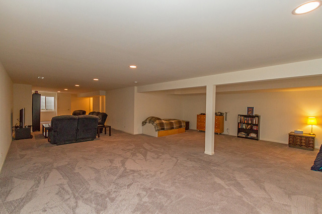 736 Slate Run, Elgin, IL 60124 photo 20