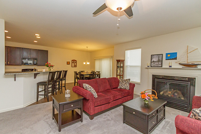 736 Slate Run, Elgin, IL 60124 photo 9