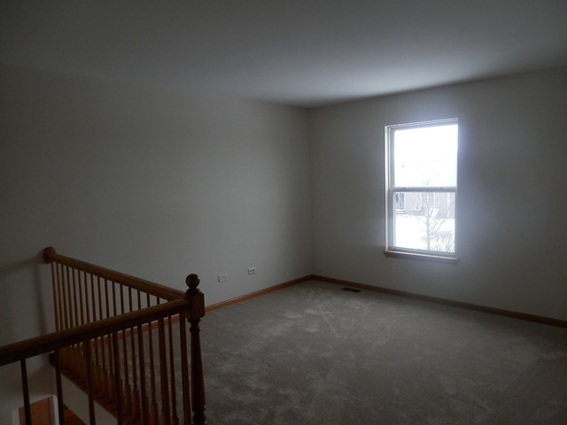 1713 Kenicott Ln, Plainfield, IL 60586 photo 11