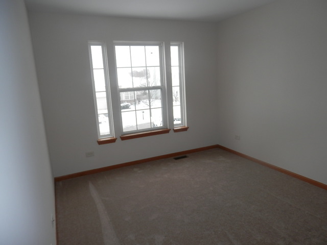 1713 Kenicott Ln, Plainfield, IL 60586 photo 14