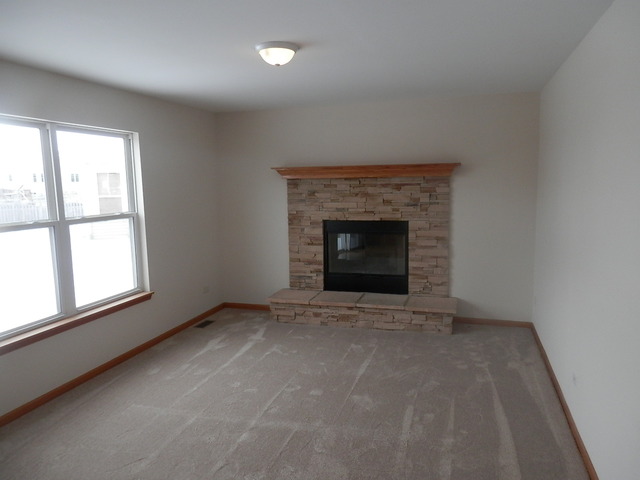 1713 Kenicott Ln, Plainfield, IL 60586 photo 8