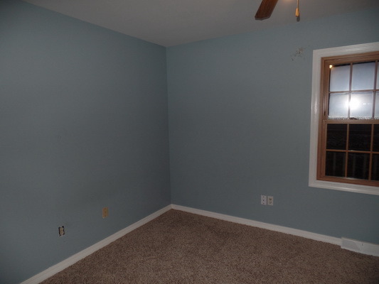 507 E Benton St, Newark, IL 60541 photo 18