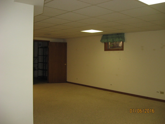 13414 Redberry Cir, Plainfield, IL 60544 photo 20
