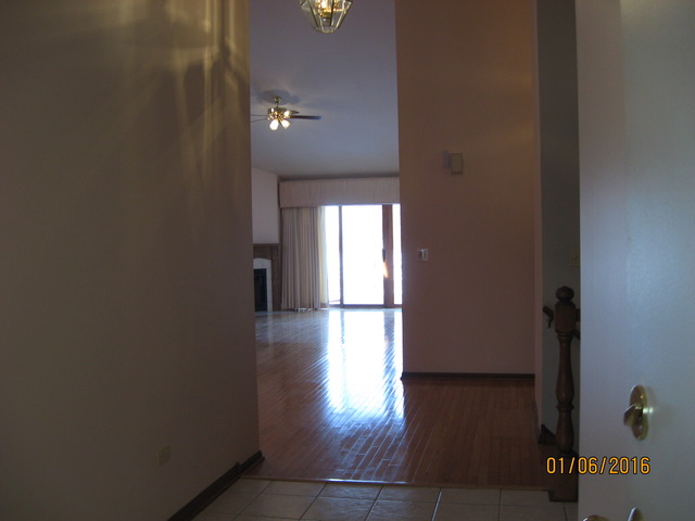 13414 Redberry Cir, Plainfield, IL 60544 photo 4