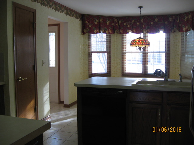 13414 Redberry Cir, Plainfield, IL 60544 photo 9