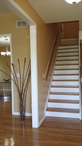 1340 Ivy Ln, Algonquin, IL 60102 photo 9