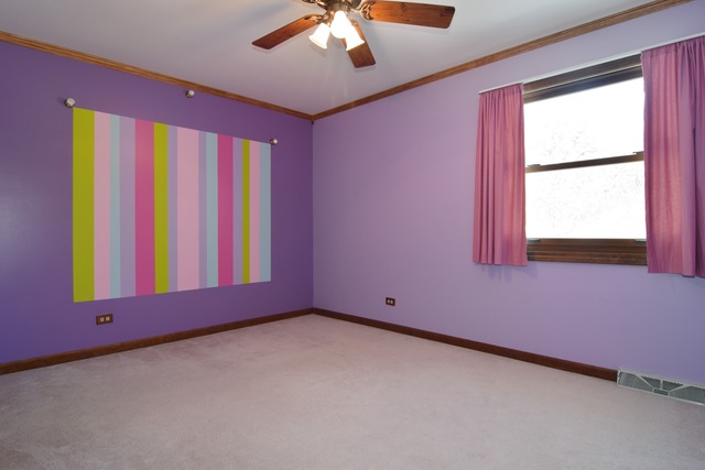 215 Buckingham Dr, Bartlett, IL 60103 photo 9