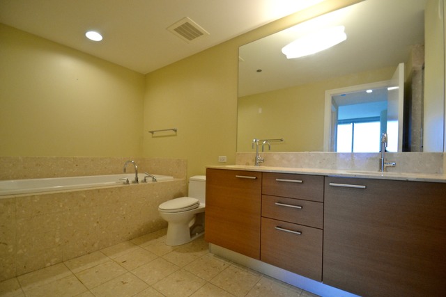 340 E Randolph St #2103, Chicago, IL 60601 photo 10