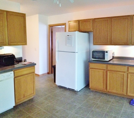1102 Burlington Way, Davis Junction, IL 61020 photo 8