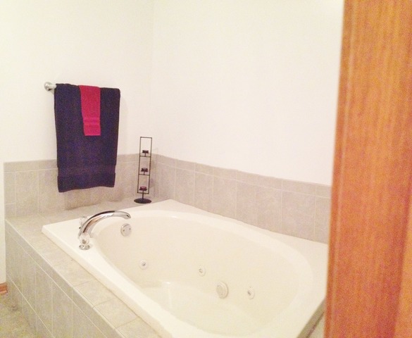 1102 Burlington Way, Davis Junction, IL 61020 photo 10