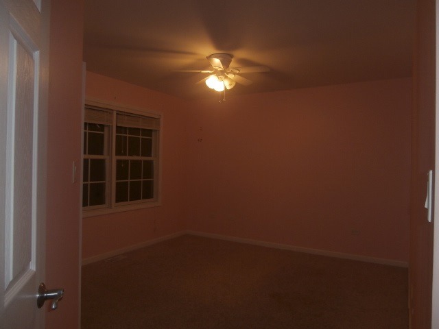 455 Spring Park Loop, Bourbonnais, IL 60914 photo 7