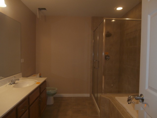 455 Spring Park Loop, Bourbonnais, IL 60914 photo 13