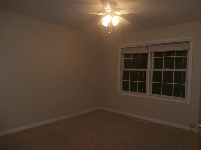 455 Spring Park Loop, Bourbonnais, IL 60914 photo 5