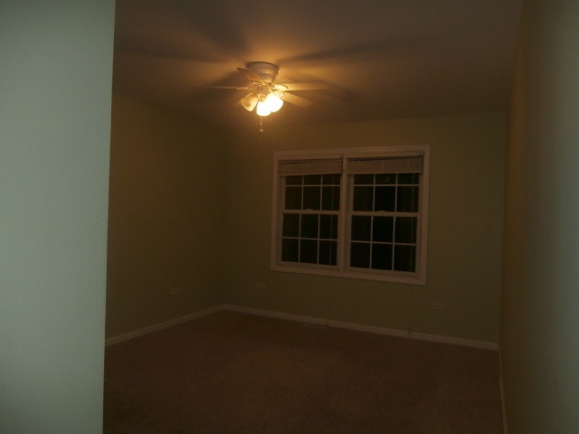 455 Spring Park Loop, Bourbonnais, IL 60914 photo 6