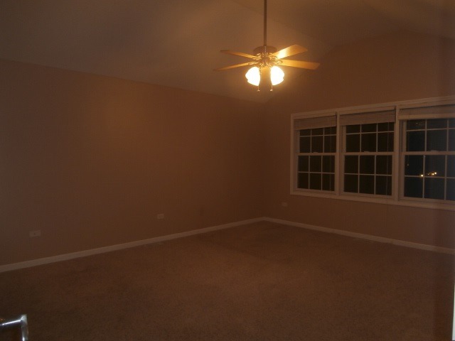 455 Spring Park Loop, Bourbonnais, IL 60914 photo 14