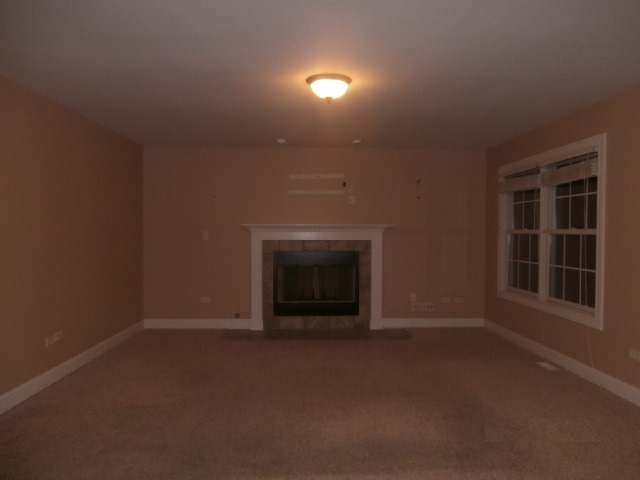 455 Spring Park Loop, Bourbonnais, IL 60914 photo 10