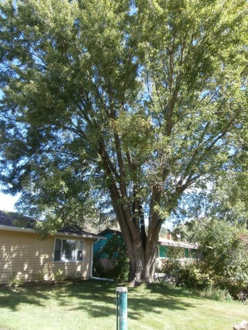 209 Croyden St, Spring Grove, IL 60081 photo 23