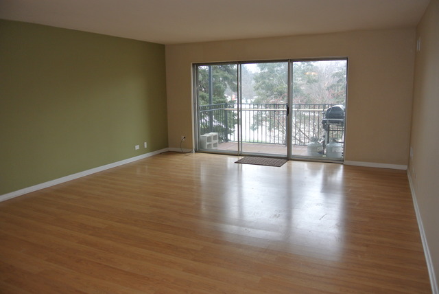 5000 Carriageway Dr #215, Rolling Meadows, IL 60008 photo 3