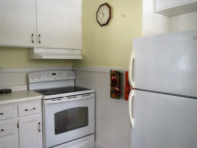 521 Spruce St, Dixon, IL 61021 photo 6