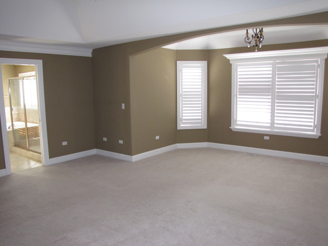 13020 Silverleaf Ct, Plainfield, IL 60585 photo 19