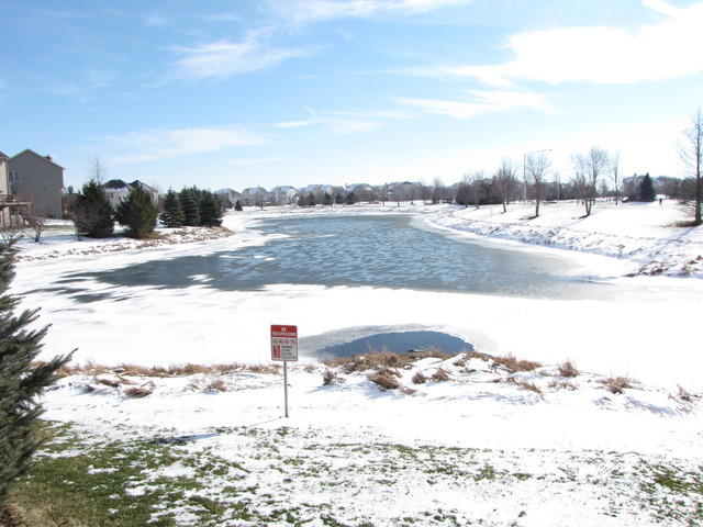 13020 Silverleaf Ct, Plainfield, IL 60585 photo 3