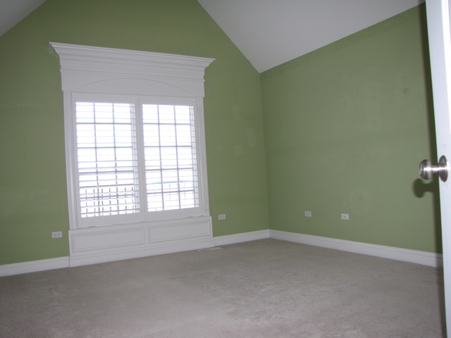 13020 Silverleaf Ct, Plainfield, IL 60585 photo 21