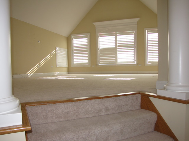 13020 Silverleaf Ct, Plainfield, IL 60585 photo 17