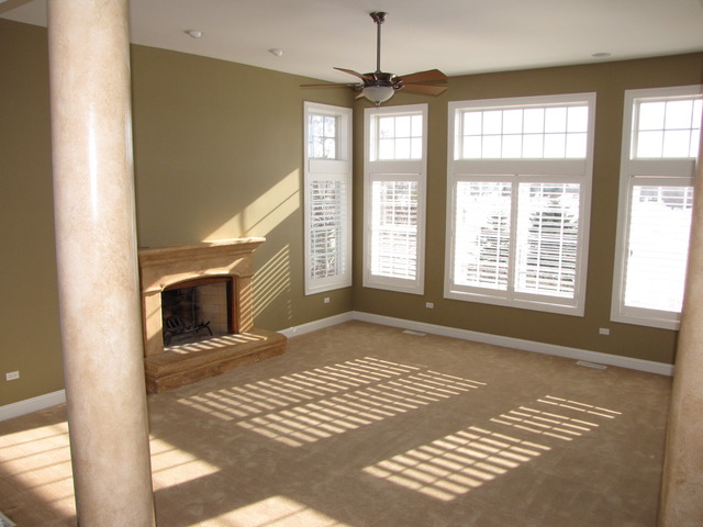 13020 Silverleaf Ct, Plainfield, IL 60585 photo 9