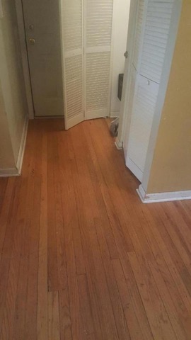 852 E 82nd St #3, Chicago, IL 60619 photo 4
