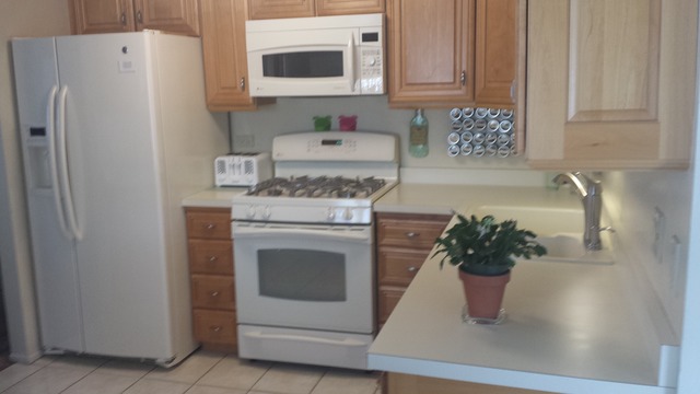 1805 E Boulder Dr, Mount Prospect, IL 60056 photo 10