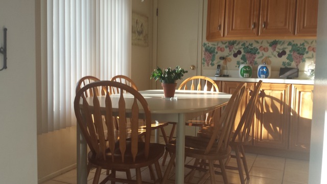 1805 E Boulder Dr, Mount Prospect, IL 60056 photo 7