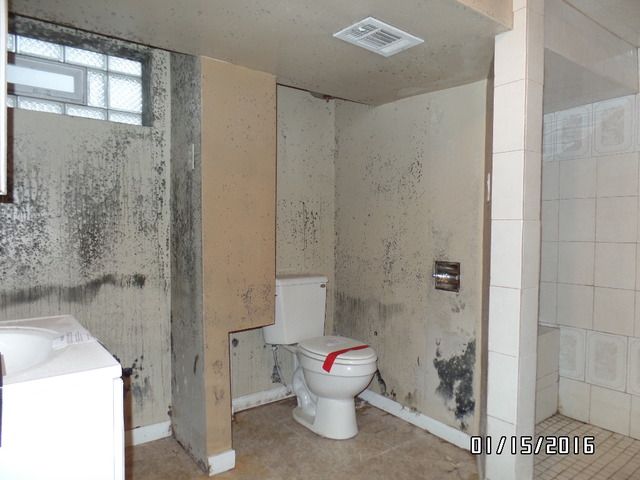 1105 E 156th St, Dolton, IL 60419 photo 20