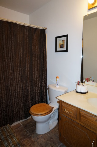 1108 Leawood Dr, Joliet, IL 60431 photo 11