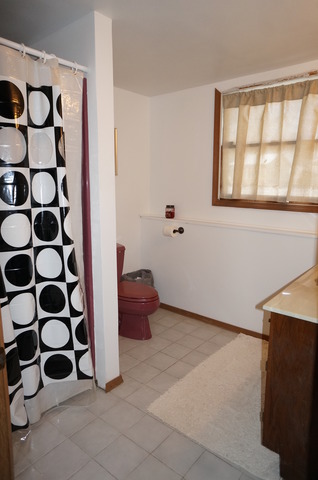 1108 Leawood Dr, Joliet, IL 60431 photo 19