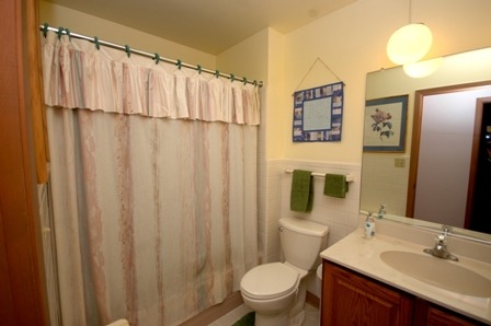 881 Deborah Ave, Elgin, IL 60123 photo 9