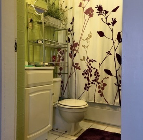 1114 Pine St, Ottawa, IL 61350 photo 21
