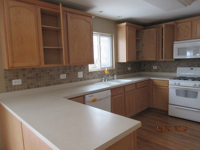 1010 Griffith Ave, Elburn, IL 60119 photo 6