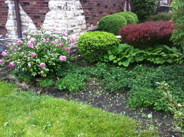 406 Audubon Rd, Riverside, IL 60546 photo 24