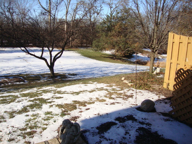 936 Adare Dr, Wheaton, IL 60189 photo 4