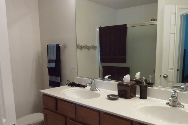 3018 Concord Ln, Wadsworth, IL 60083 photo 12