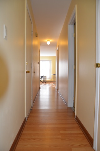 1320 S Lorraine Rd, Wheaton, IL 60189 photo 19