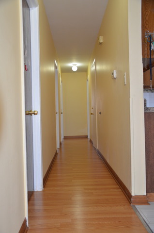 1320 S Lorraine Rd, Wheaton, IL 60189 photo 13