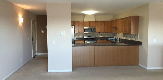 3535 N Harlem Ave #405, Chicago, IL 60634 photo 6